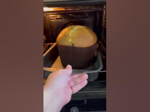 Панитон - YouTube
