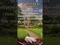 GOD SAYS#God#Amen#quotes#mindset #Viralnow#Shorts #Gospel #Motivation#Positivevibes#viral#quotes#yt