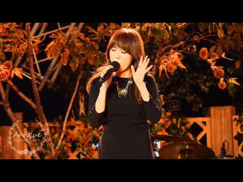 이수영 - 여전히 입술을 깨물죠 (140921 광화문 콘서트 직캠)