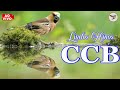 Hinos ccb 2023 - CCB hinos Cantados - Melhores hinos para louvar a Deus melhor