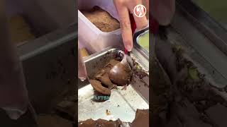 Pastry | Chocolate pastry making