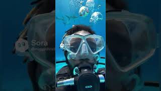 Download Lagu Subscribe for More #underwater #fyp MP3