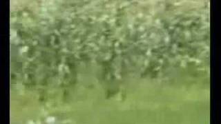 Turkgozu Koyu 3 Gönderen-Adnan Gülaçar