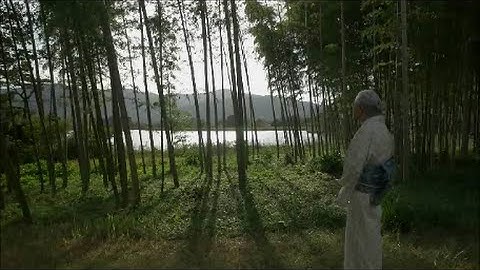 Philosophy of Tsumugi : The World of Fukumi Shimura