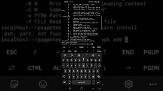 Details Running Puppeteer on Termux Android 👍 | Puppeteer News