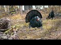 6 GOBBLERS IN 16 MINUTES