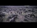 The DESERT MUSTANGS in 4K | Filmed with the Mavic Pro JONNYBRAVO ADVENTURES