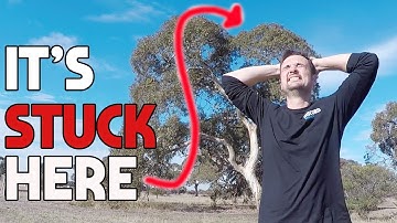 NEVER LOSE YOUR DRONE AGAIN!! 3 TECHNIQUES TO GET YOUR DRONE OUT OF A TREE