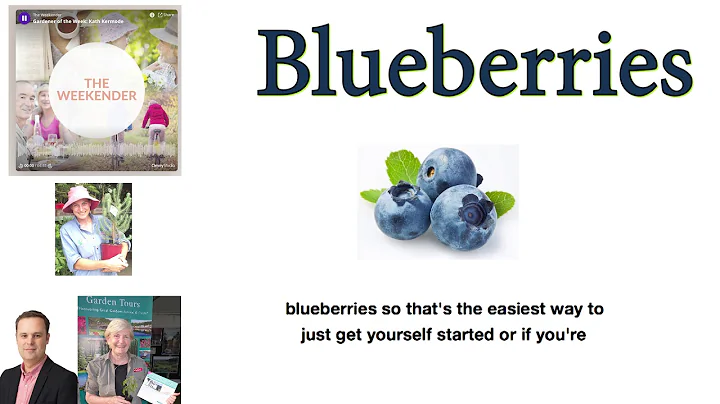 Blueberries Judy Horton from the weekender speaks ...