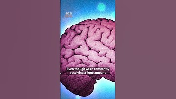 Can we really multitask? | BBC Ideas