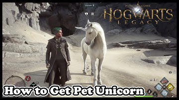 How to Get Pet Unicorn in Hogwarts Legacy