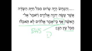 Genesis 3:1 HebrewDaybyDay