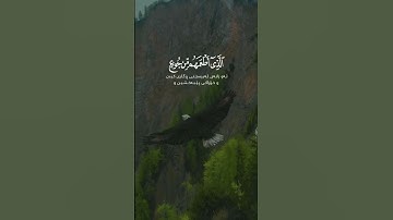 سعد الغامدي سورة قريش Saad Al Ghamidi Surah Quraysh