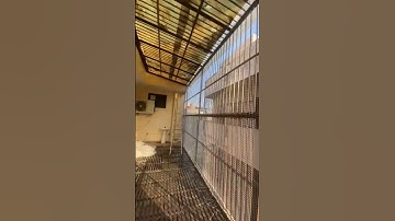 bird protection net installation, pigeon netting service in #delhi #ncr #shorts