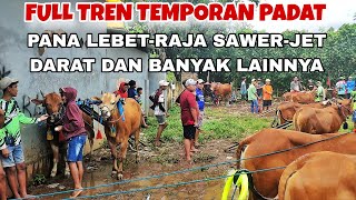 Download Lagu TREN TERAKHIR MENUNU HUT PERDANA MENTERI DI TEMPORAN || PADAT YANG LATIHAN PROBOLINGGO \u0026 LUMAJANG MP3