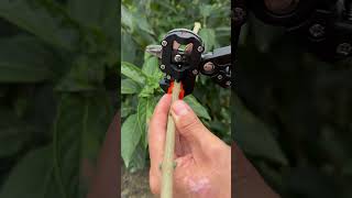 Product Link in Bio ( # 914 ) 🚀 Grafting Fruit Trees Tool Pruner Kit