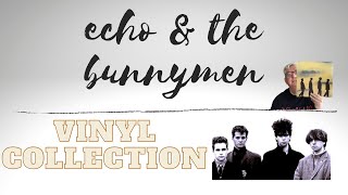 Echo and the Bunnymen|Vinyl collection.Ian Mculloch , Les Pattinson, Pete De Freitas, Will Seargent