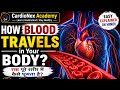 Human Blood Circulation System Full Explanation | Heart to Body