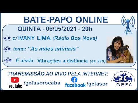 Assista: Palestra online - c/ IVANY LIMA (06/05/2021)