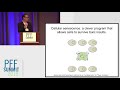 The Role of Senescence in Driving the Pathology of Aging-Related Diseases | Nicolas Musi, MD