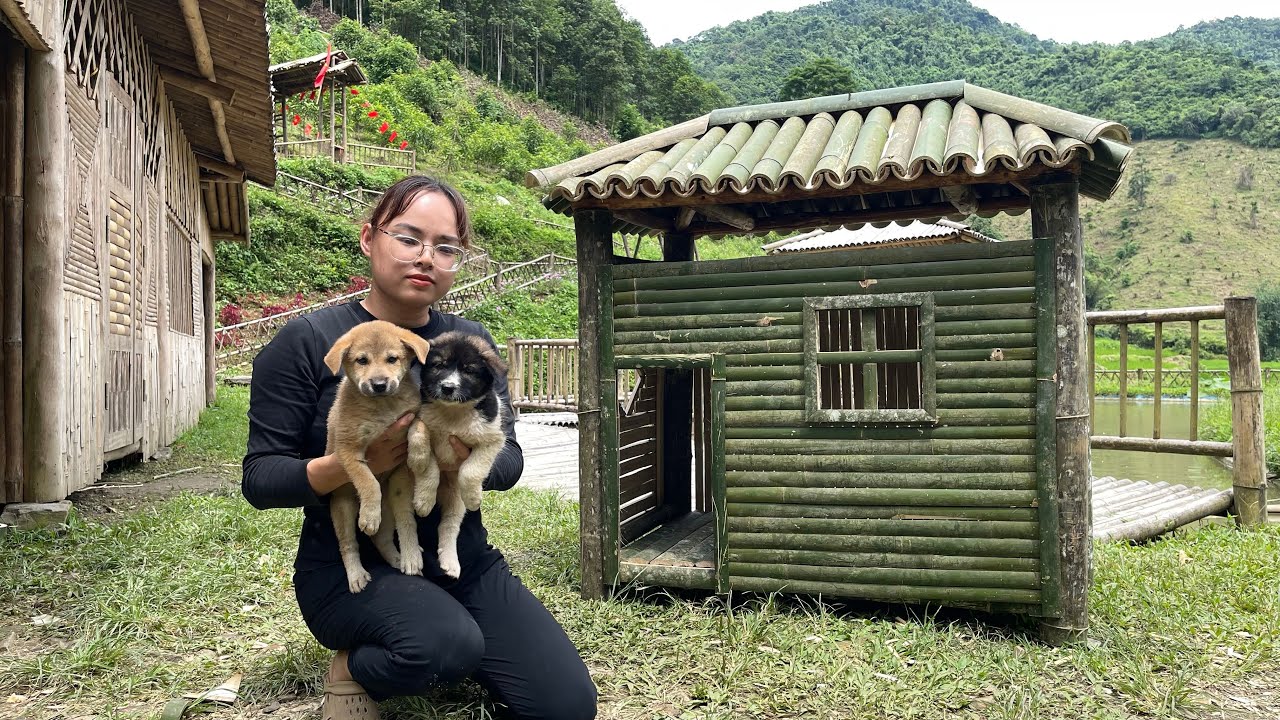 How To Build A Bamboo Dog House