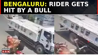 Bengaluru: Bull Makes Man On Scooter Fall Under Moving Truck; Close Shave For Driver
