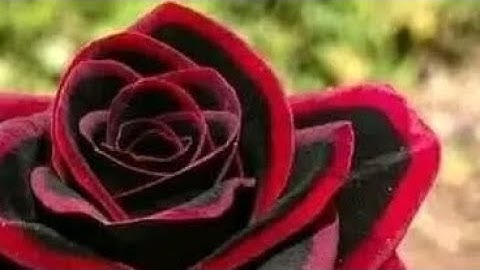 سورة الأعراف (ص - ١٥٨) الشيخ محمود علي البنا رحمه الله تعالى ...