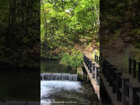 20251008 京極町「羊蹄のふきだし湧水」又稱「ふきだし公園」、「名水の郷」，是這次北海道之旅造訪的第二個「名水百選」