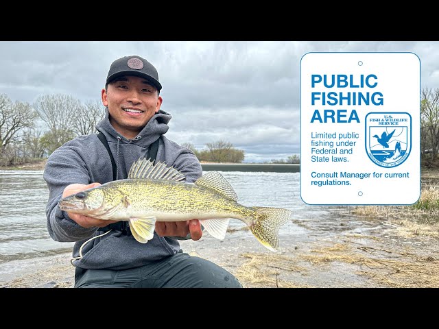 Public Shore Fishing a Popular Dam for Walleyes! (CATCH CLEAN COOK) class=