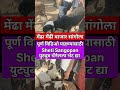 मेंढा मेंढी बाजार सांगोला #viral #shortsvideo #शेतकरी #farming #sheep #बाजारभाव #bazar #shorts