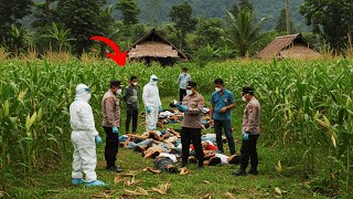BOJONEGORO HEBOH!! POLISI TEMUKAN 15 M4YAT DI LADANG JAGUNG MILIK WARGA, SAAT DITANGKAP TERNYATA