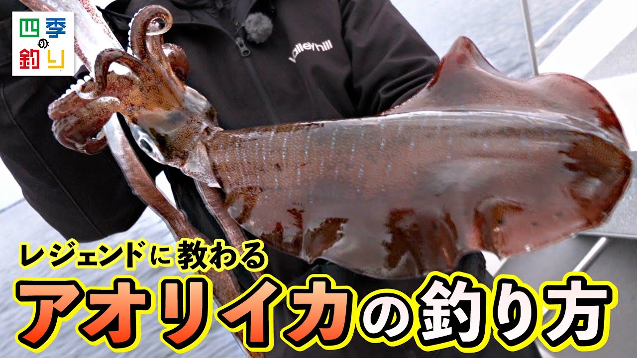 三重県でティップランエギング　冬はキロアップを狙え！（四季の釣り/2025年3月7日放送）