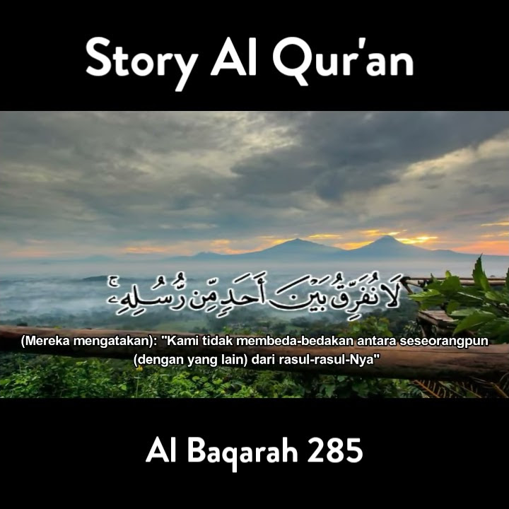 Story WA & Instagram Al Quran | Surat Al Baqarah Ayat 285 | Qiroah Merdu