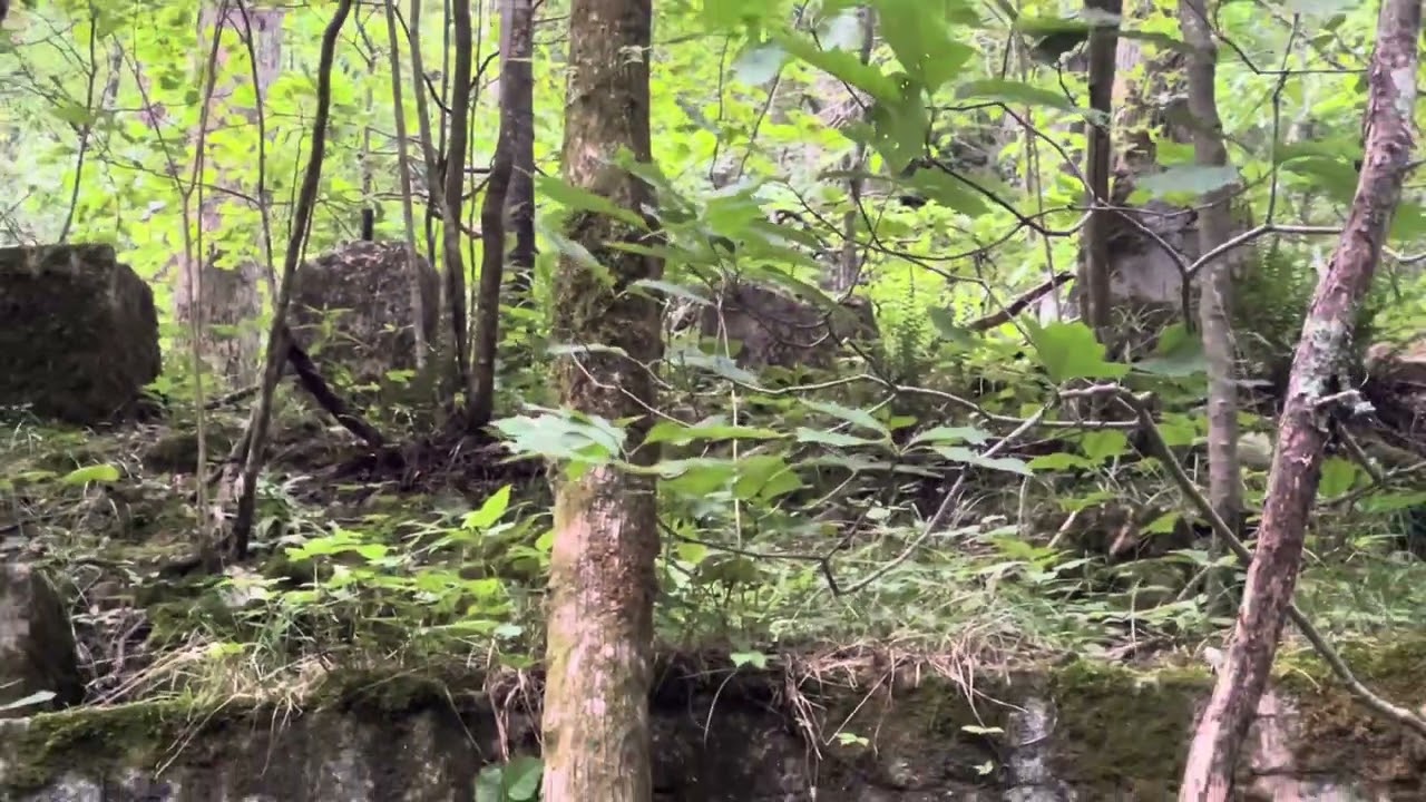 Exploring Gee Creek Trail Part 5