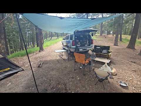 How I Support My Camping Tarp with Sturdy Poles