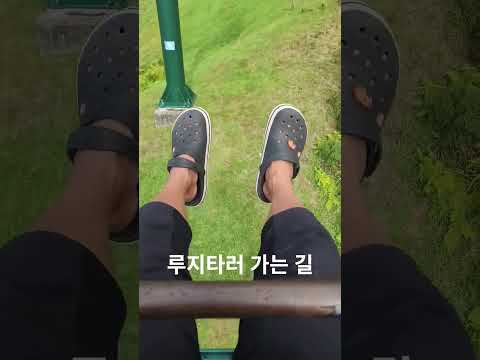 #뉴질랜드 #루지 #로토루아 #곤돌라 #스카이라인