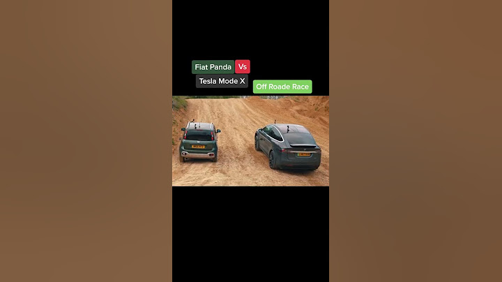 Fiat Panda vs Tesla Model X offroad race
