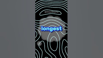 Whoever Comments The LONGEST Comment Will Get A Shoutout In My NEXT VIDEO! 🔥 💬 #shorts #fortnite