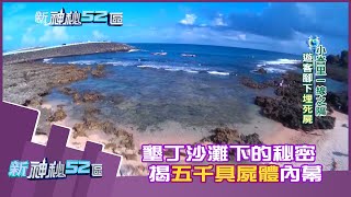 【完整版】墾丁沙灘下的秘密　揭五千具屍體內幕《新神秘52區》2020.11.15