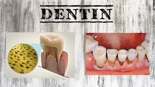 DENTIN HISTOLOGY || PART 1: STRUCTURE || #madeeasy #dentinhistology #allyouneedtoknow