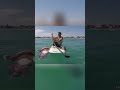 Bear, Squid, Shark, and Paddleboard: Wild Encounters You Won't Believe! #shorts