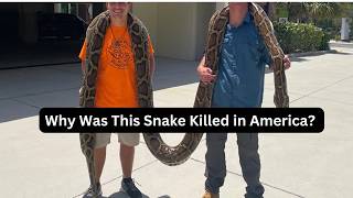This Burmese Python Was the Longest Snake Ever Caught in America