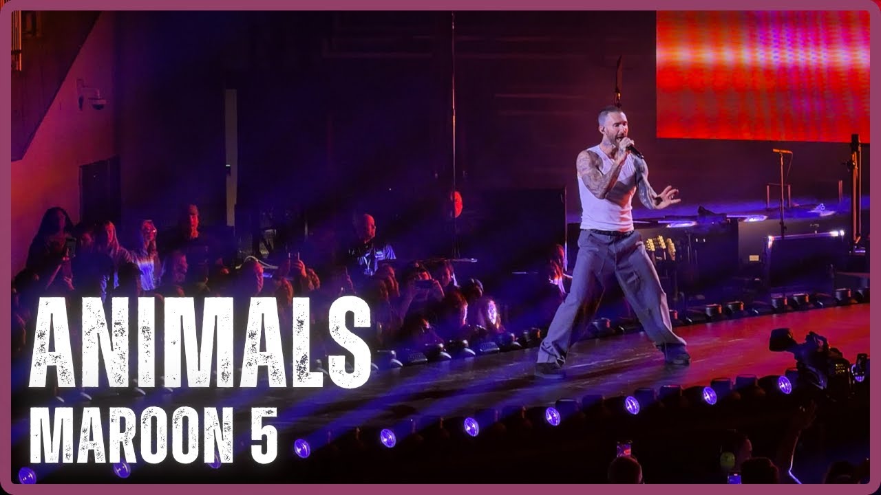 Maroon 5 - Animals (LIVE) in 4K - Seattle, WA - Climate Pledge Arena