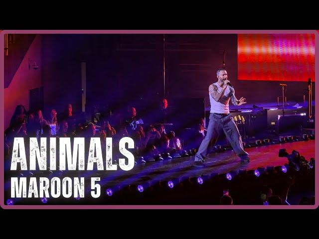 Maroon 5 - Animals (LIVE) in 4K - Seattle, WA - Climate Pledge Arena