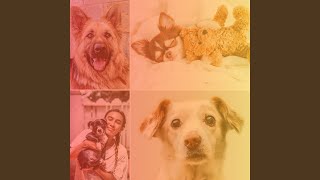 Vivacious Backdrops for Chilling Puppies
