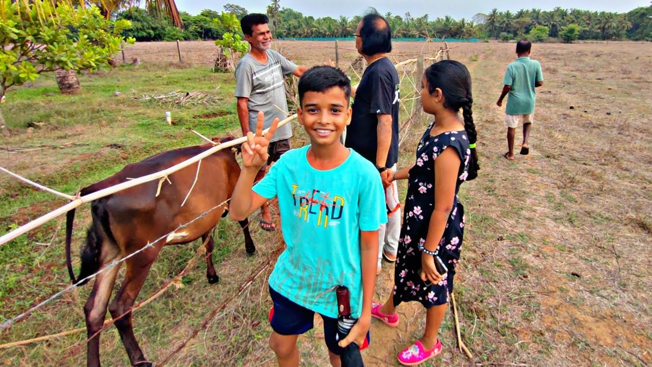 आज बघा आमची पूर्ण family 🙂 मुंबई वरून सर्व काका आले घेऊन आलो नदी आणि मळा दाखवायला..#familyvlogs