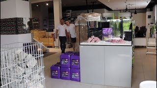 Lets Tour An Aquarium Store In Poland !
