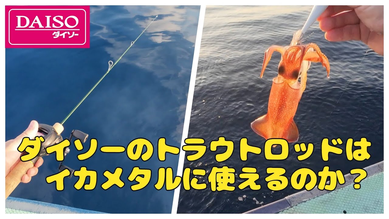 えっ！こんなにアタリ分かりやすいの！？ダイソーのトラウトロッドの