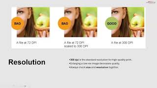 Wordsprint What's Working Webinar - October 15, 2024