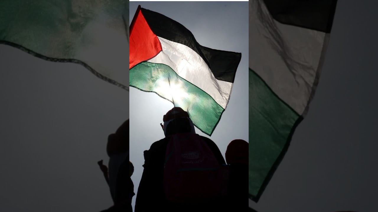 palestine 🇵🇰❤🇵🇸 